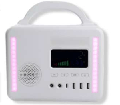 GY-300W